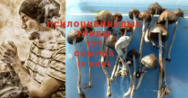 мяу мяу кристалл Медвежьегорск